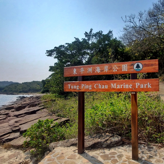 tung ping chau trip